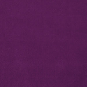 Omega Orchid