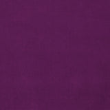 Omega Orchid