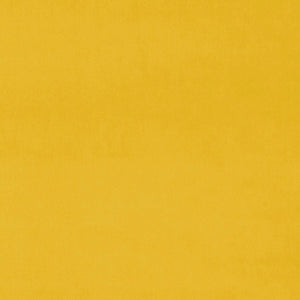 Omega Canary