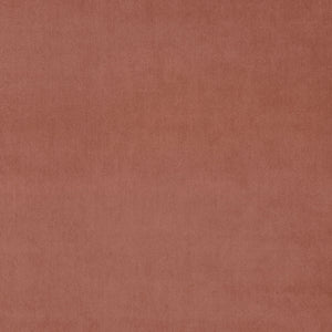 Omega Damson