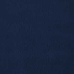 Omega Indigo