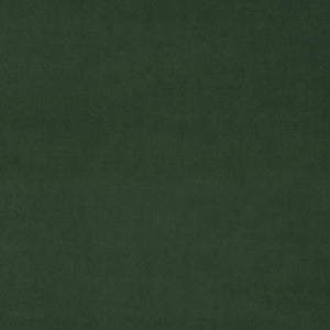 Omega Evergreen