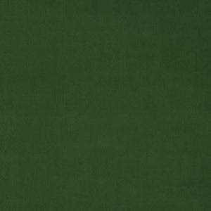 Omega Fern