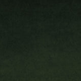 Omega Bottle Green
