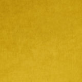 Omega Canary