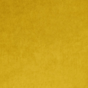 Omega Canary