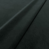 Omega Coal