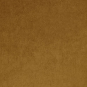 Omega Cognac