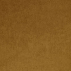 Omega Cognac