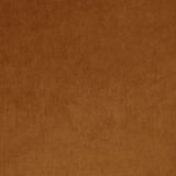 Omega Copper