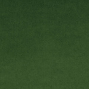 Omega Fern