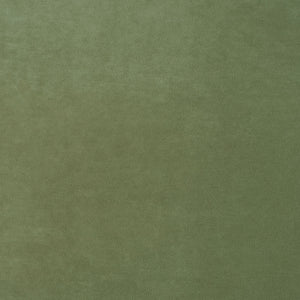 Omega Green Tea