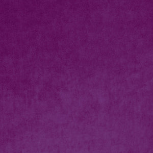 Omega Orchid