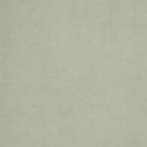 Omega Vellum