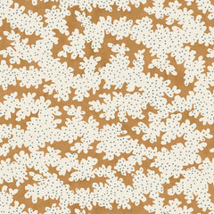 Big Top The Minister's Cat