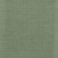 Juno Lichen