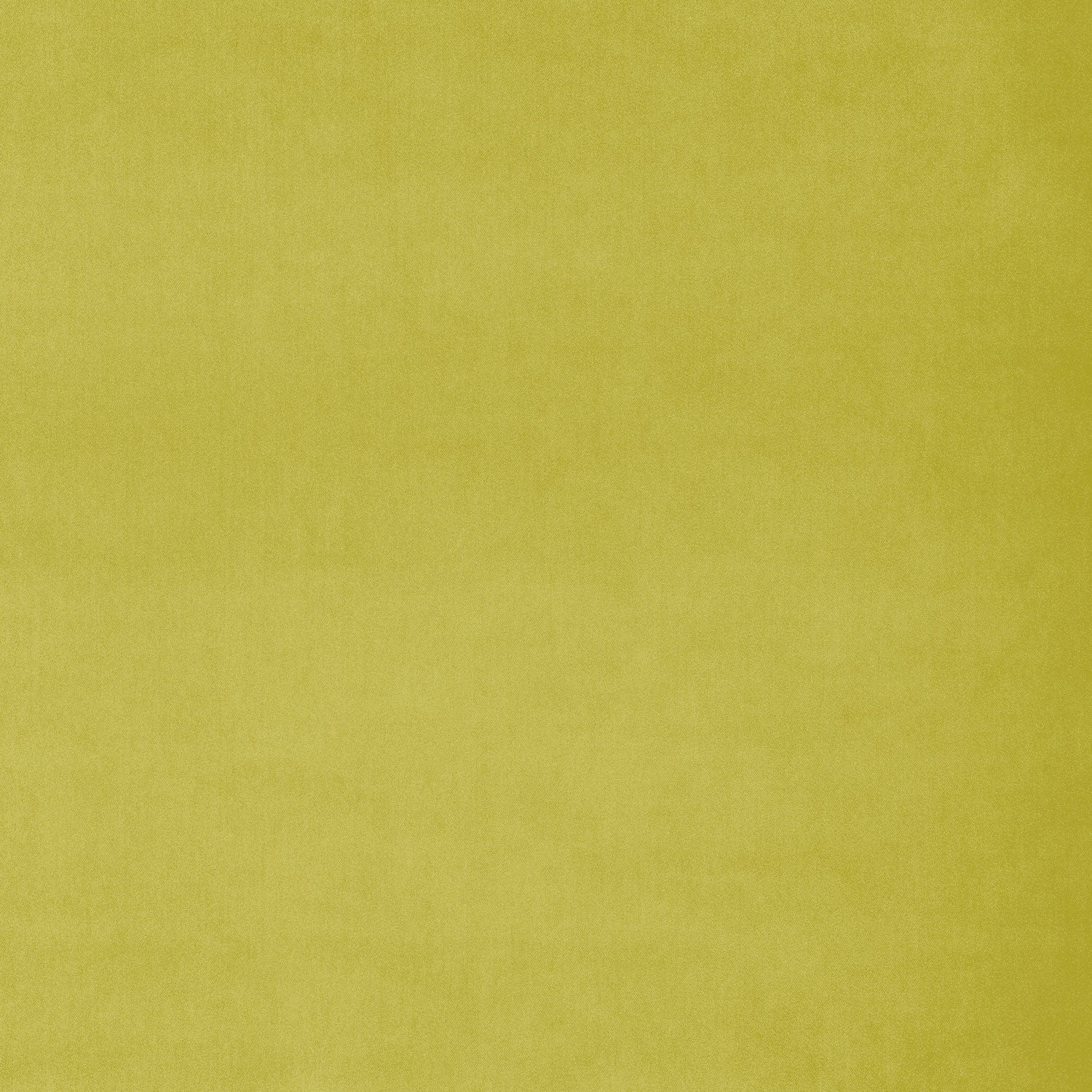 Fabric swatch of a yellow plain velvet – suitable for use as a velvet upholstery fabric or velvet curtains