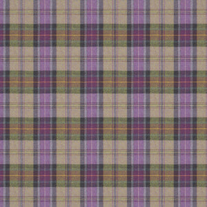 Beachcomber Sumburgh