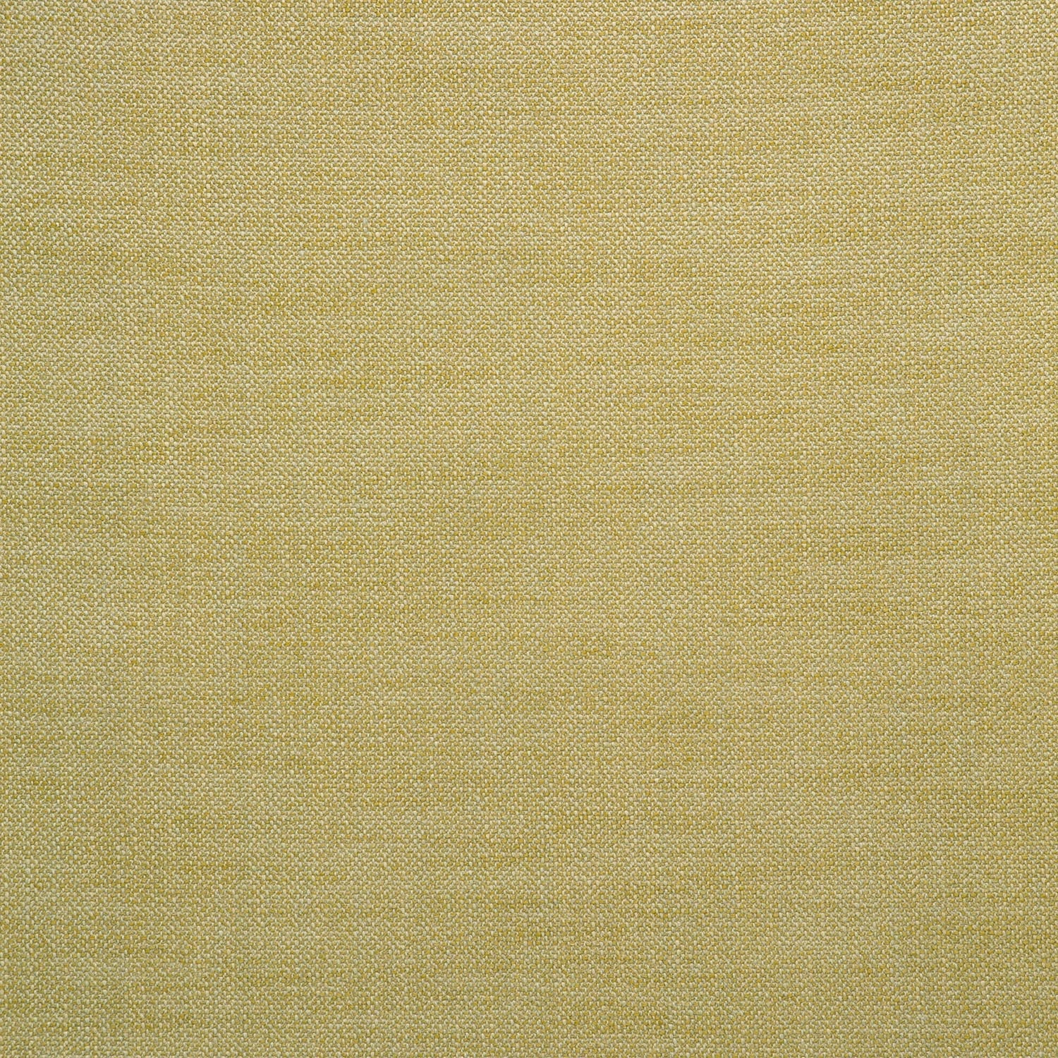 Fabric swatch of a gold woven fabric for upholstery
