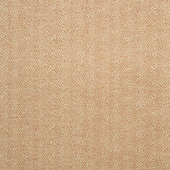 Lars Geometric Coral