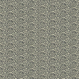 Polka Midnight