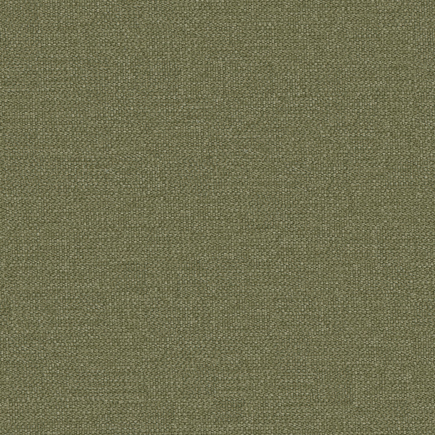 Khaki green plain cotton fabric suitable for curtains and upholstery
