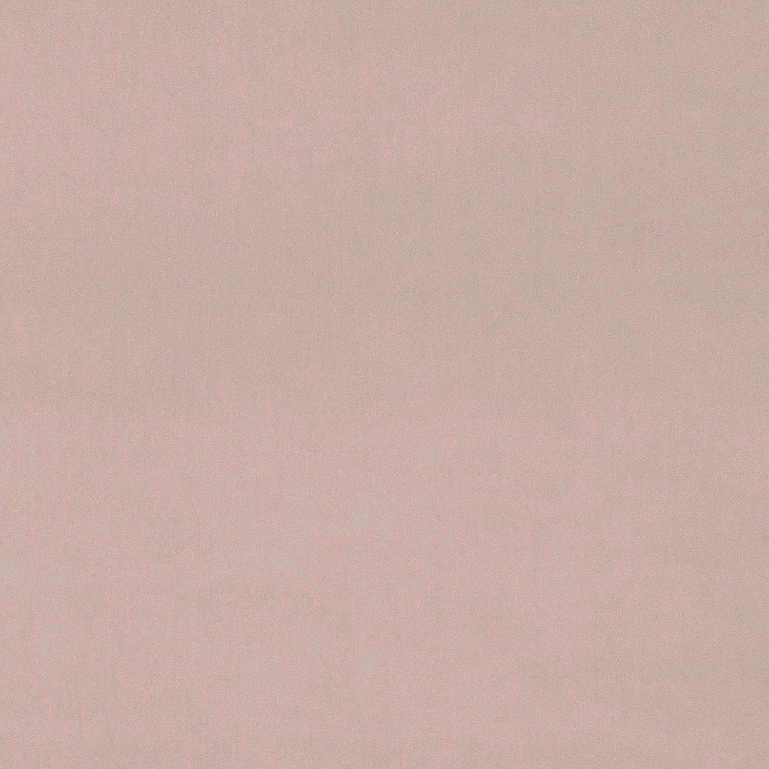 Fabric swatch of a cream eco plain velvet – suitable for use as a velvet upholstery fabric or velvet curtains