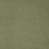 Fabric swatch of a green eco plain velvet – suitable for use as a velvet upholstery fabric or velvet curtains