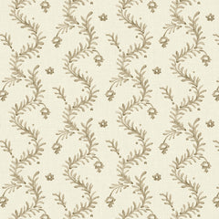 Magic Lantern Natural