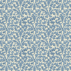 Bagatelle Forget Me Not