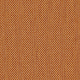 Cobblestone Mango