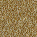 Tidal Apricot