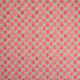 Ravioli Raspberry Ripple