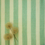 Lola Stripe Winter Green