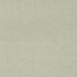 Omega Vellum