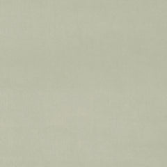 Omega Vellum