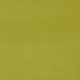 Omega Wattle