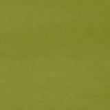 Omega Pistachio