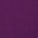 Omega Orchid