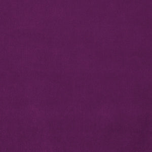 Omega Orchid
