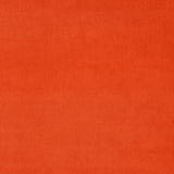 Omega Tango