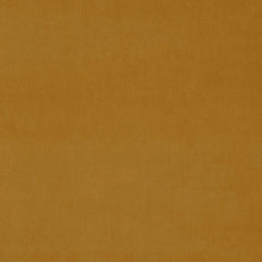Omega Cognac
