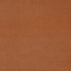 Omega Turmeric