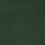 Omega Evergreen