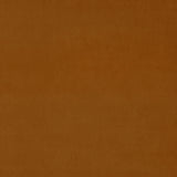 Omega Copper