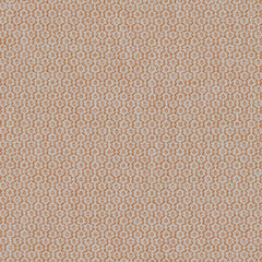 Ripple Pumpkin