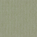 Cove Tea Green