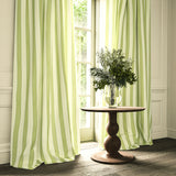 Lola Stripe Topiary