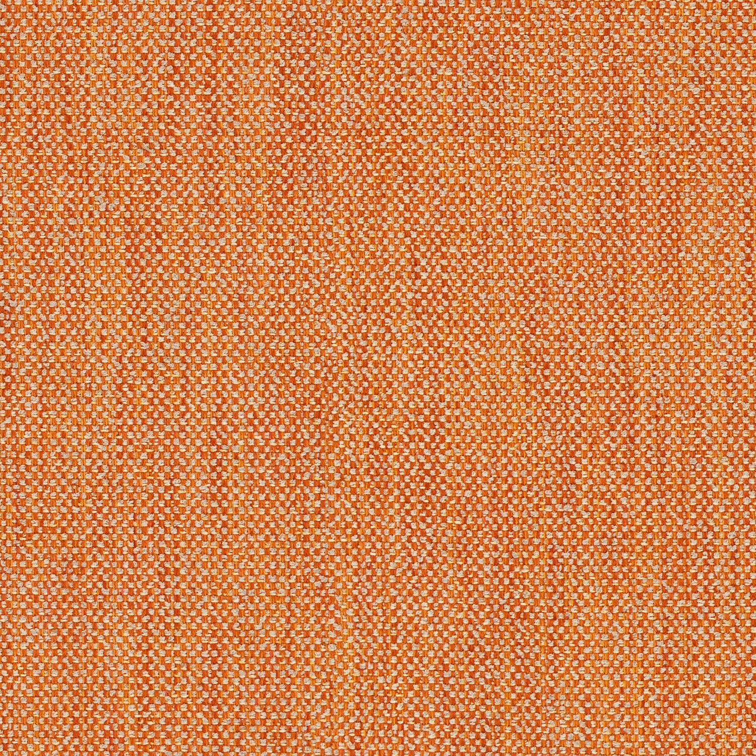 Close-up of Linwood’s Loxley Marmalade fabric – textured Italian weave in warm orange for upholstery.