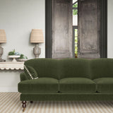 NoMo Fern
